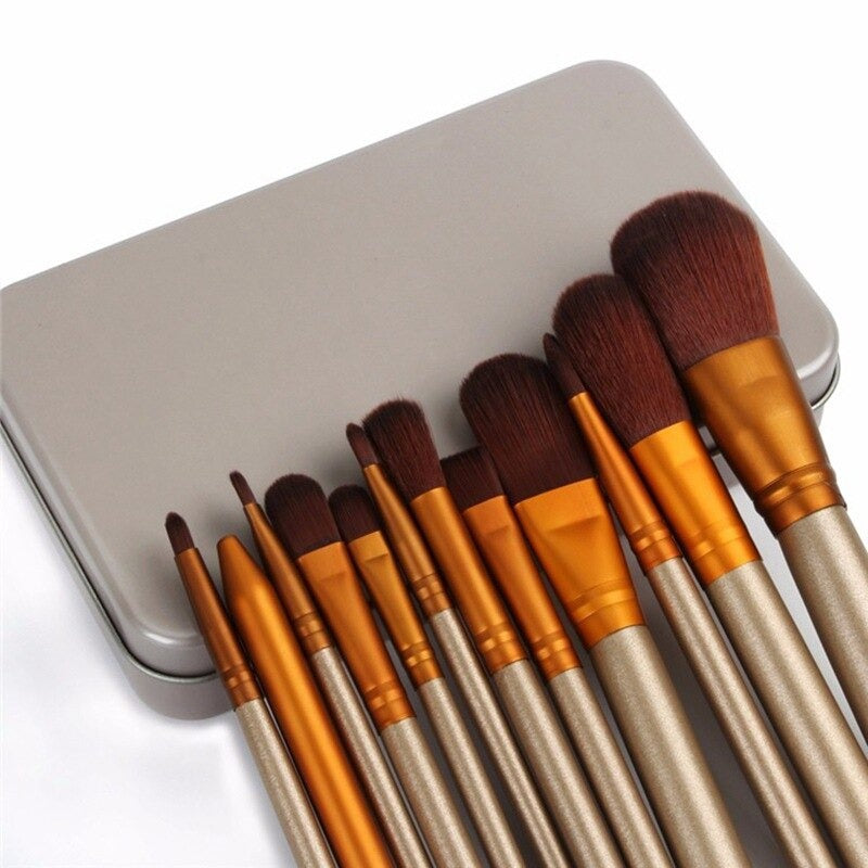 12pcs Aluminium Box Makeup Brushes Set Eye Shadow Lip Gloss Eye Makeup Portable Beauty Tools.